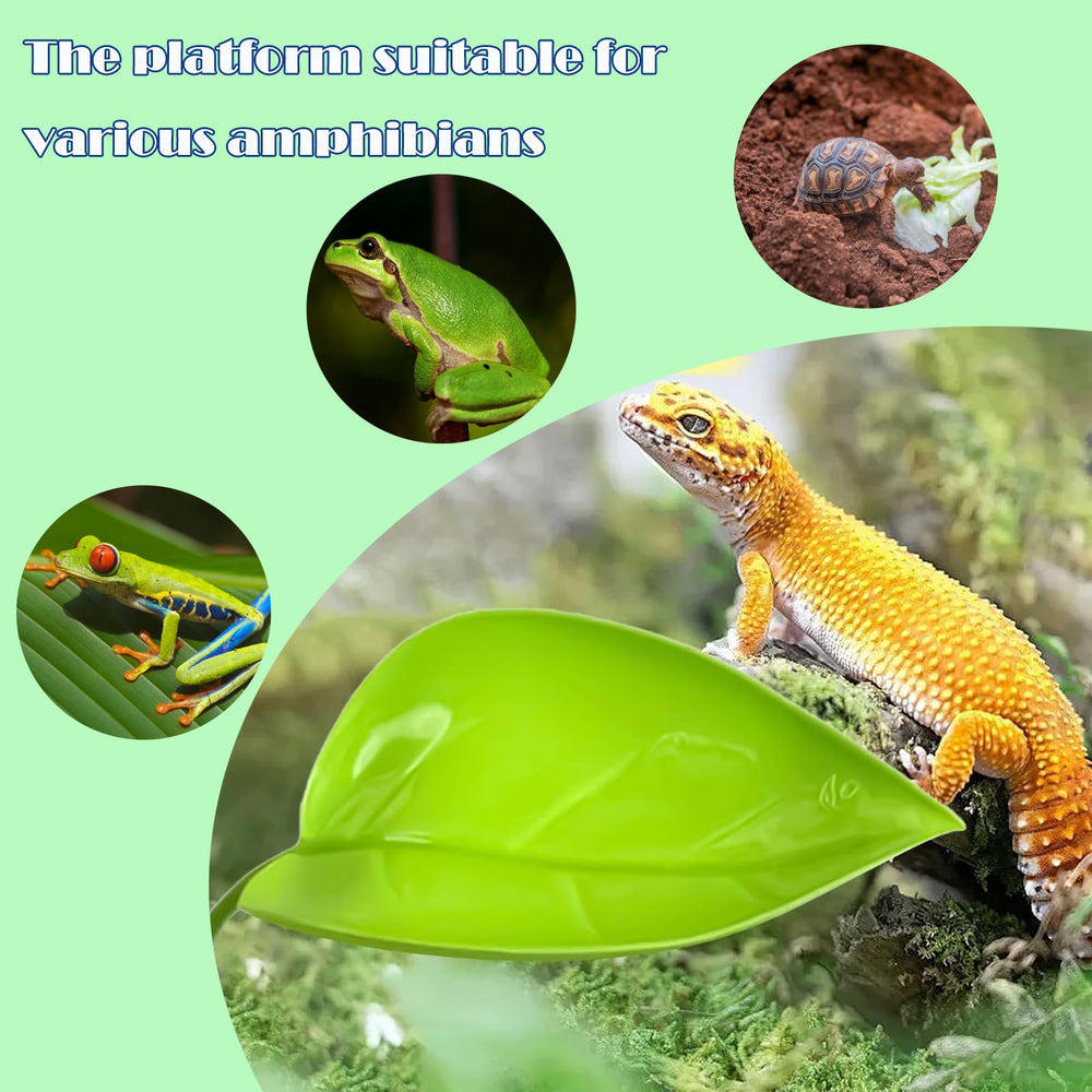 KABASI leaf platform green decor in habitat adds visual appeal while offering resting perch.