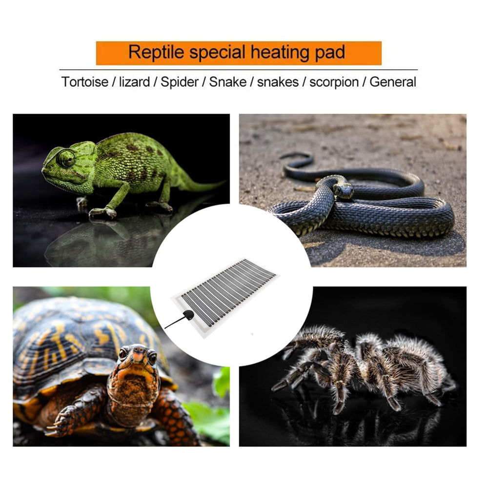 KABASI reptile heat mat suitable for tortoise and reptile habitats promoting belly warmth