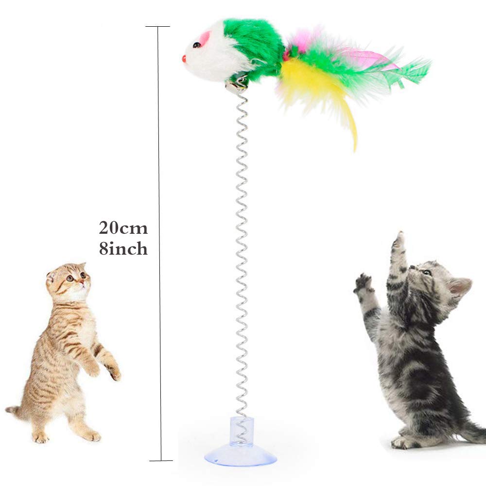 KABB cat play session shows three-pack versatility in playtime.