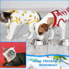 Kacctyen cat recovery suit adjustable-collar detail demonstrates flexible sizing for comfortable wear.