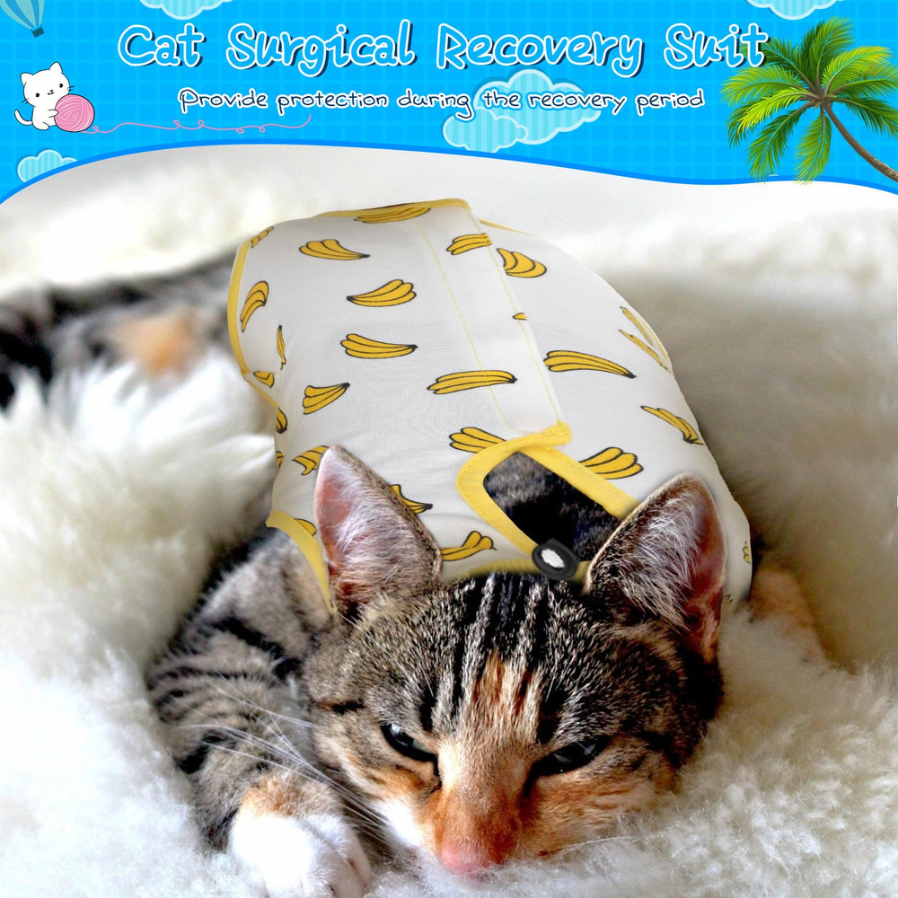 Kacctyen cat recovery suit size chart helps find a comfortable fit.