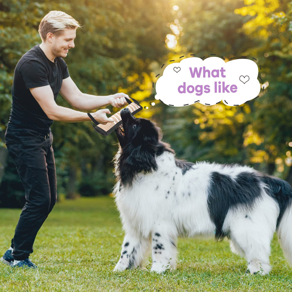 Kacctyen dog tug toy two handles improve grip and safety.