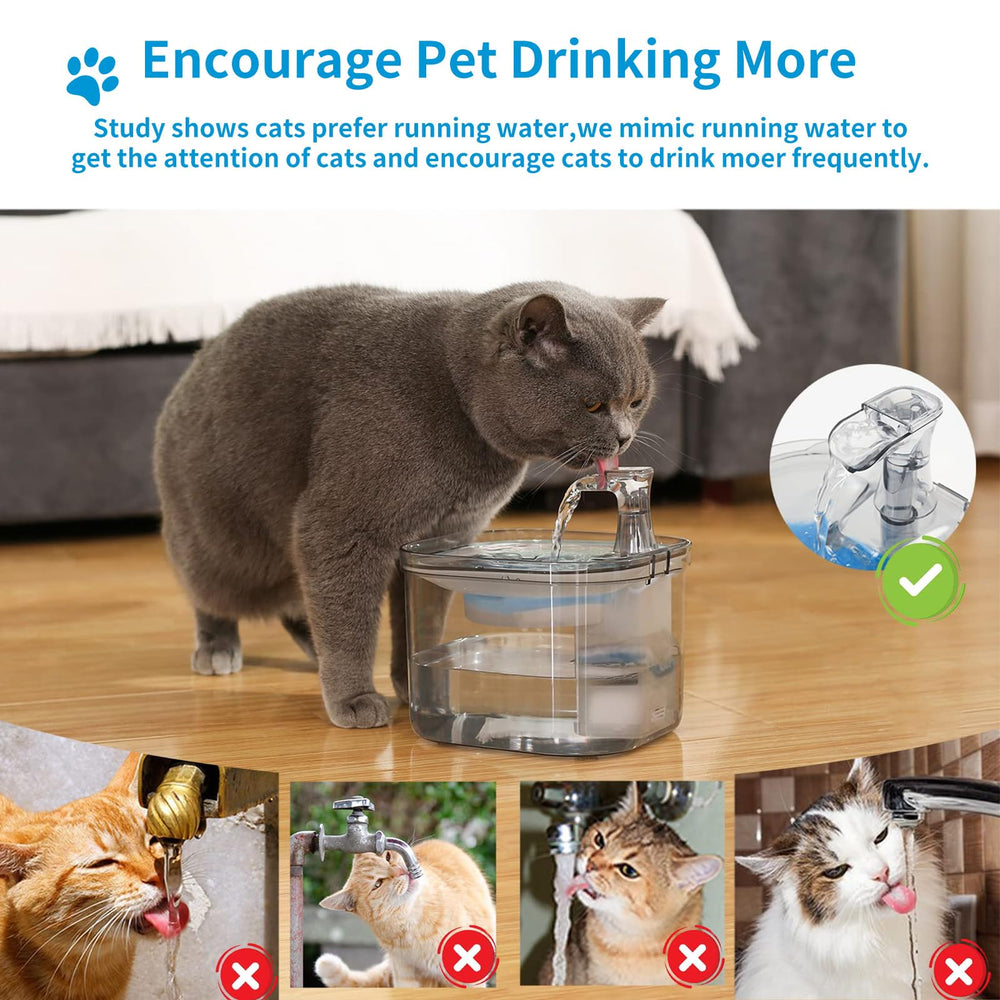 Kactoily six-pack packaging shows convenient long-term filter supply for multiple pets