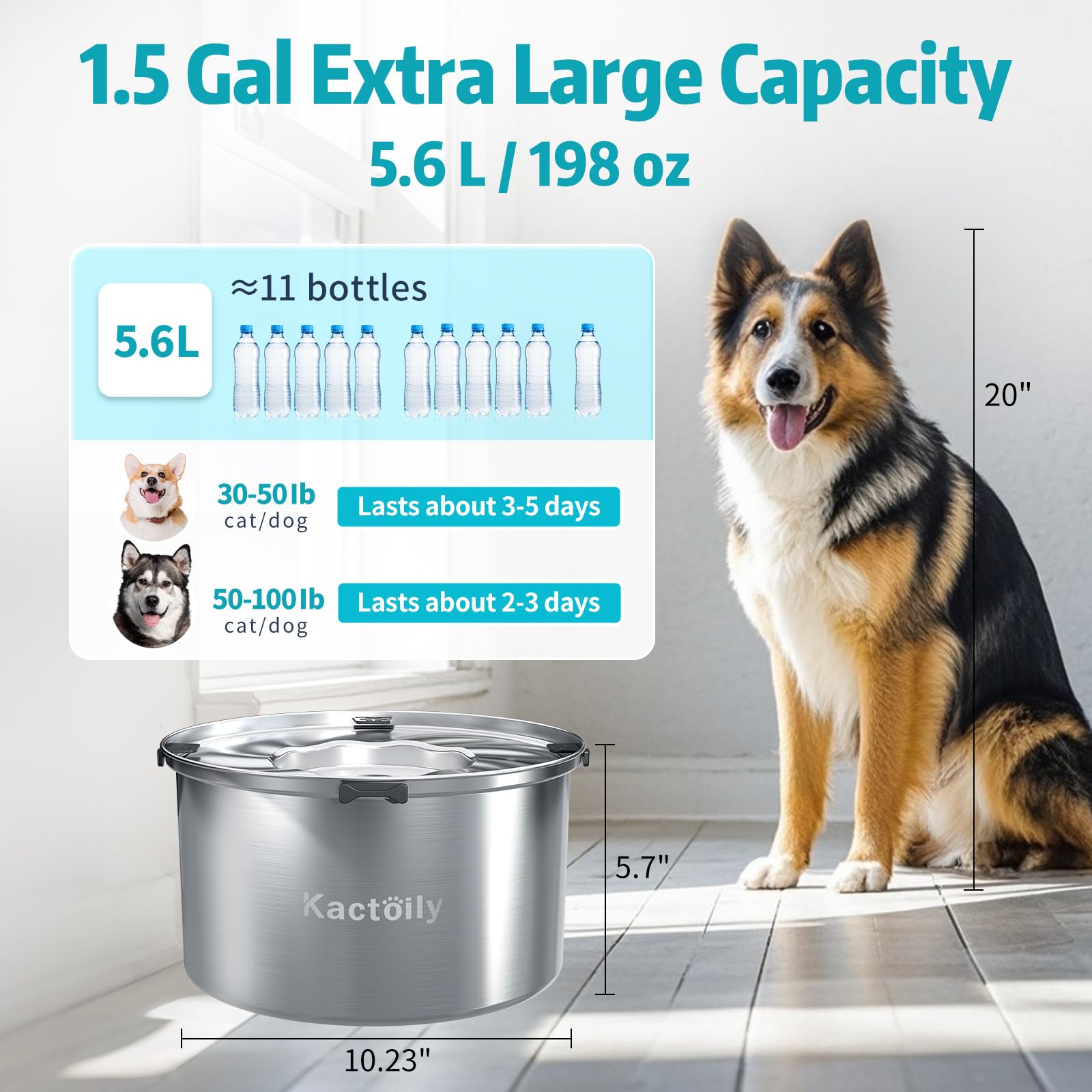 Kactoily floating disk slows drinking and keeps water cleaner.