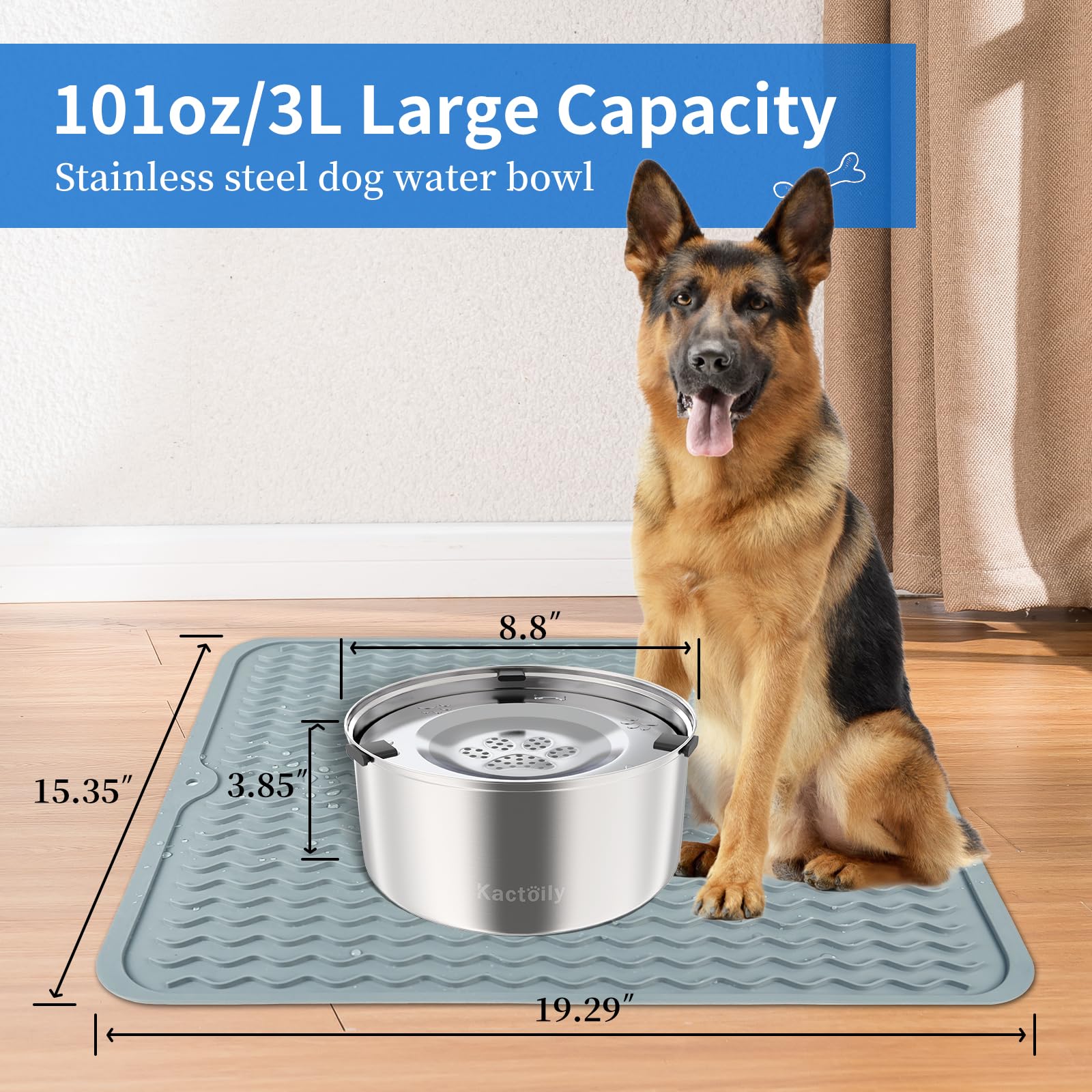 Kactoily spill-proof bowl in use reducing mess and splashes