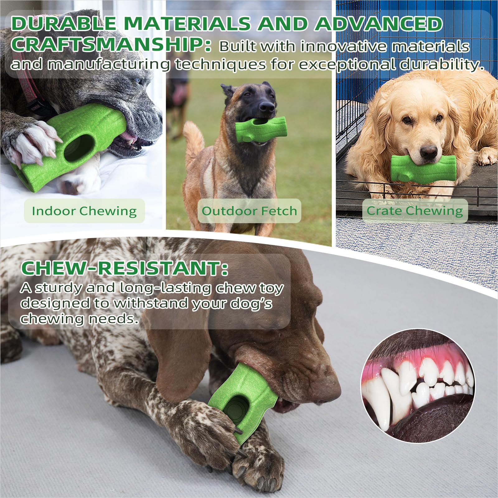 KADTC All-in-One 3in1 dog-chewing-action-shot emphasizes energy burn and boredom relief.