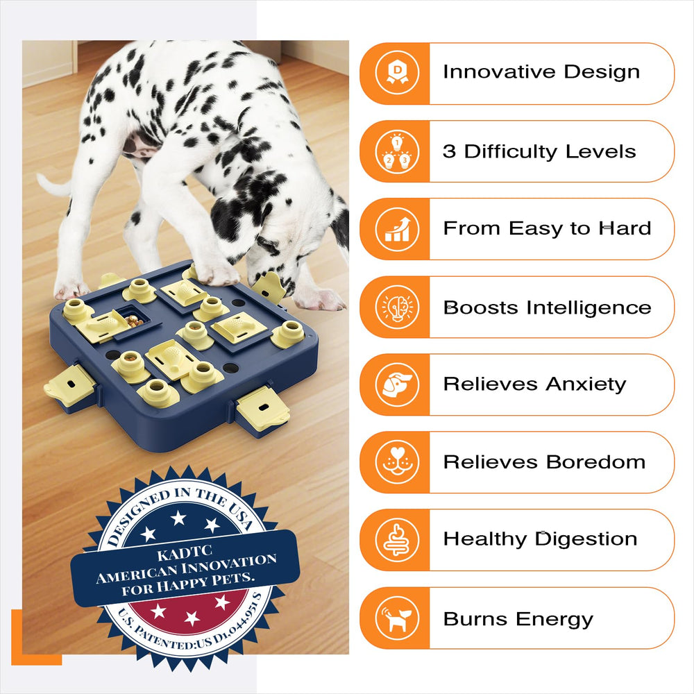KADTC dog interaction in action demonstrates engaging play and problem solving.