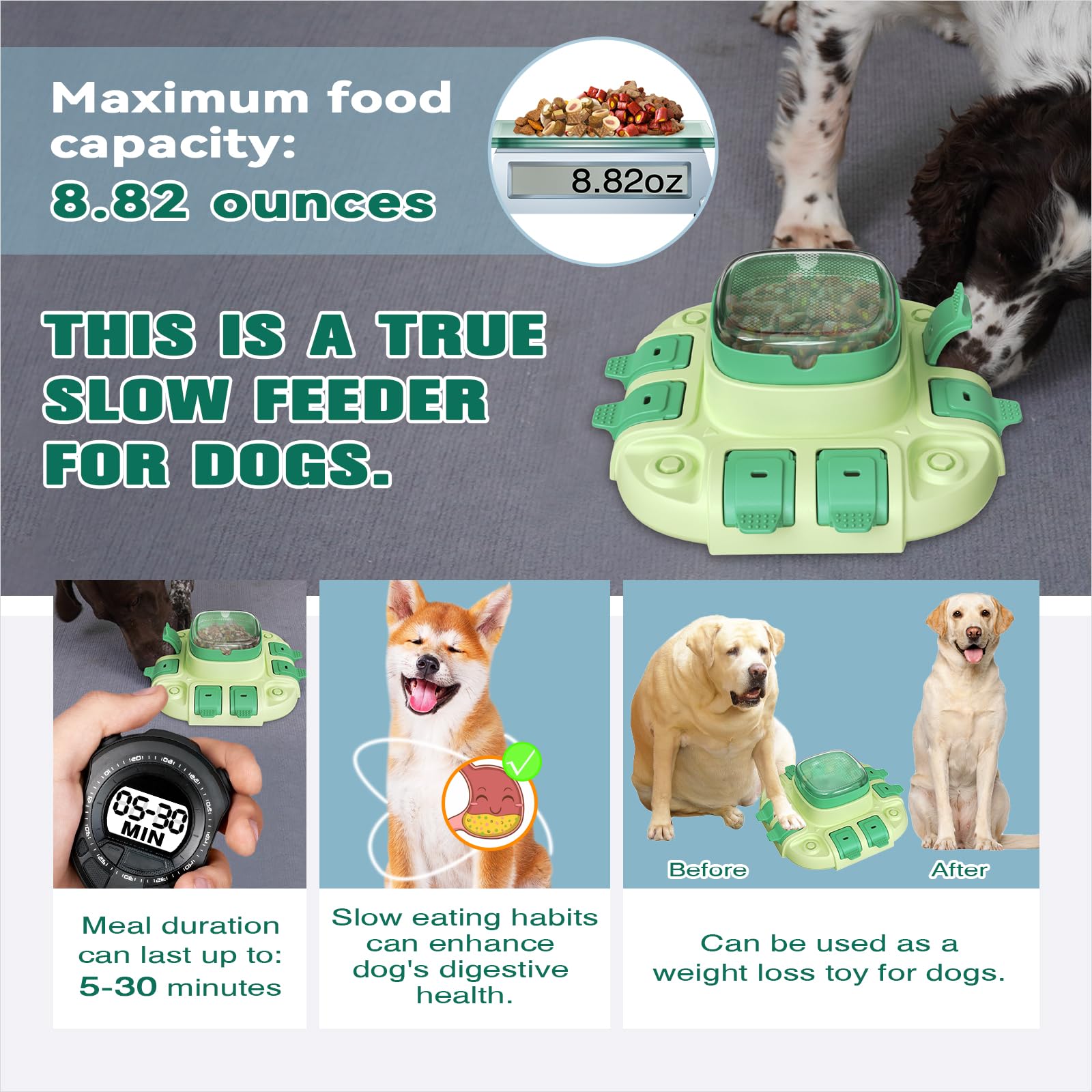KADTC dog puzzle enrichment play demonstrates anxiety relief through mindful feeding