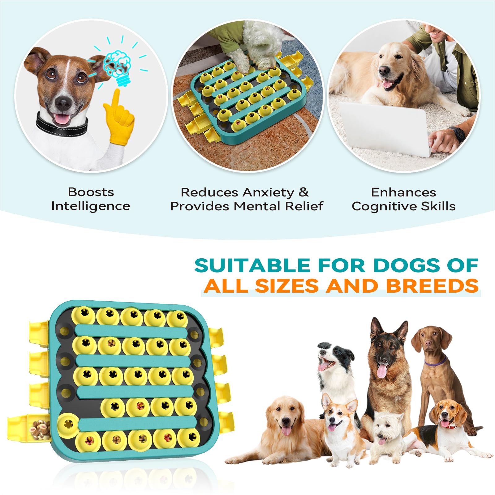 KADTC dog puzzle out of box use highlights easy ready-to-play setup.