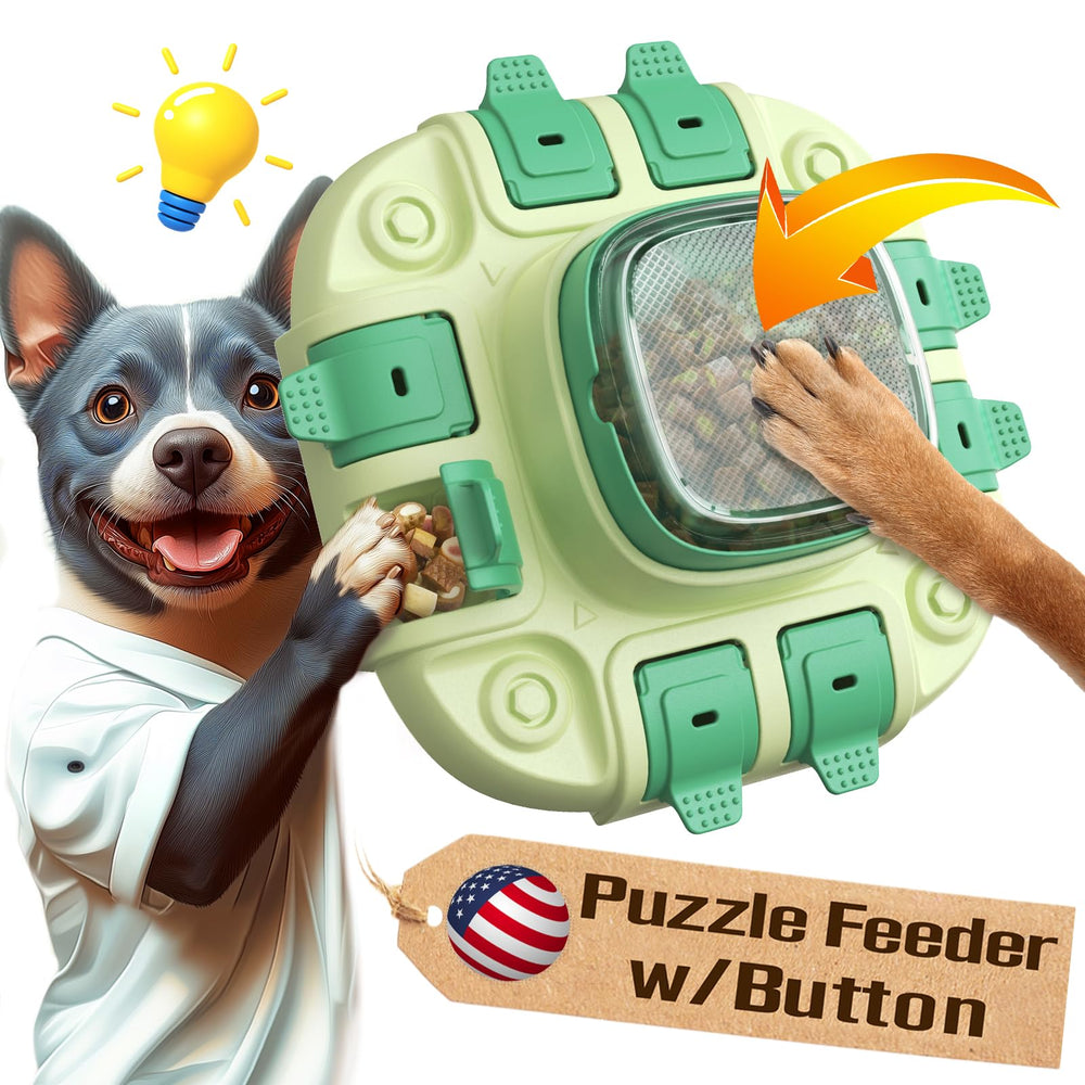 KADTC dog puzzle top view shows engaging enrichment for smart playtime