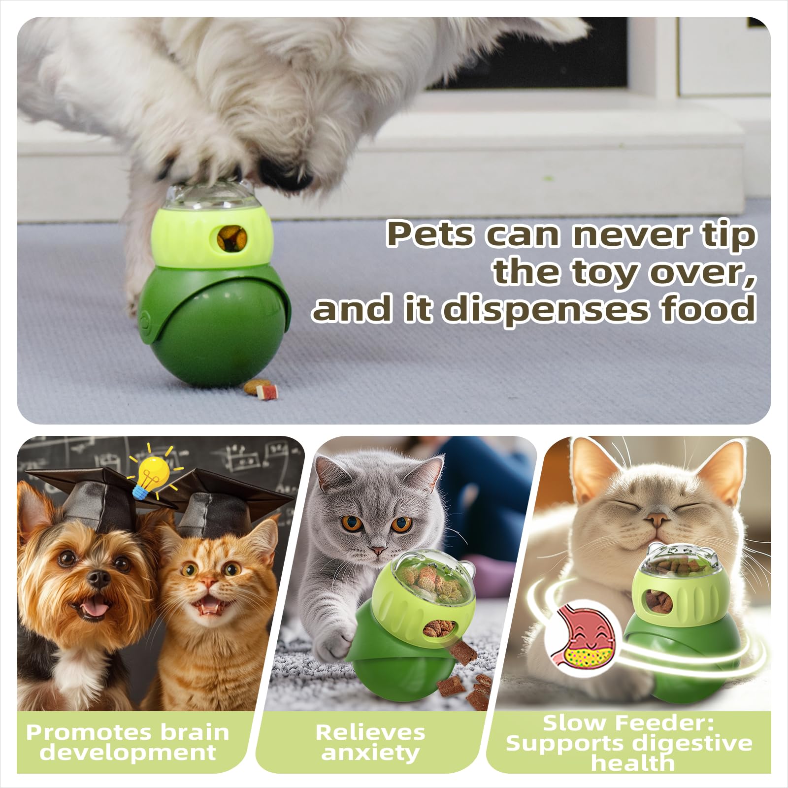 KADTC indoor-playtime-enrichment image highlights safe, engaging home play.