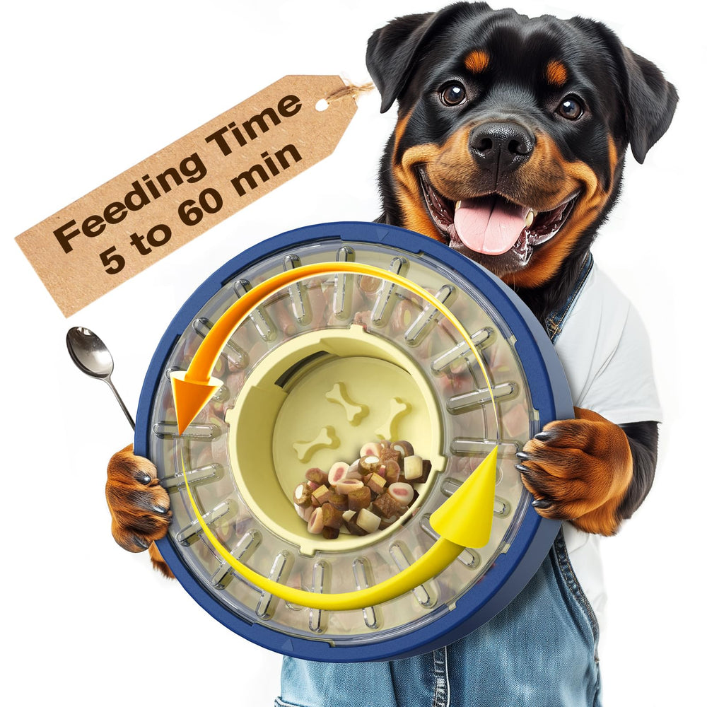 KADTC rotating-lid dog puzzle demonstrates slow feeding for calmer mealtimes.