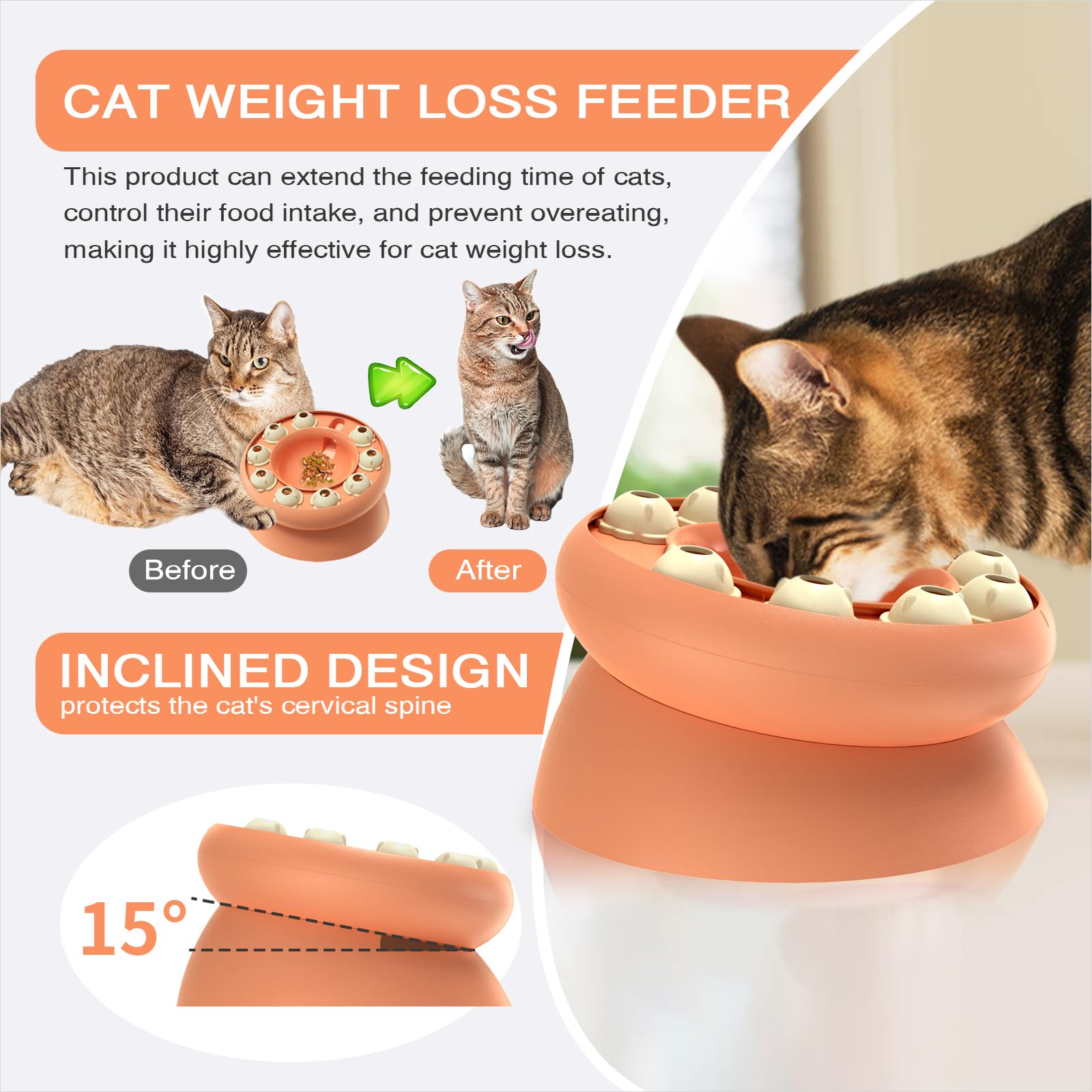 KADTC BPA-free materials ensure safe, rounded-edge use