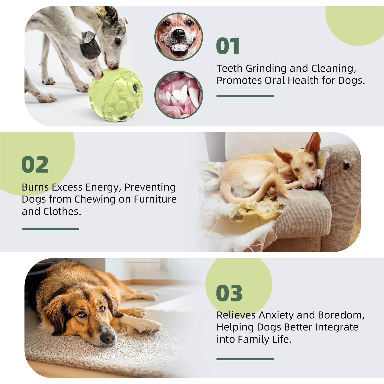 KADTC safe materials ensure worry-free fun for dogs during long-term use