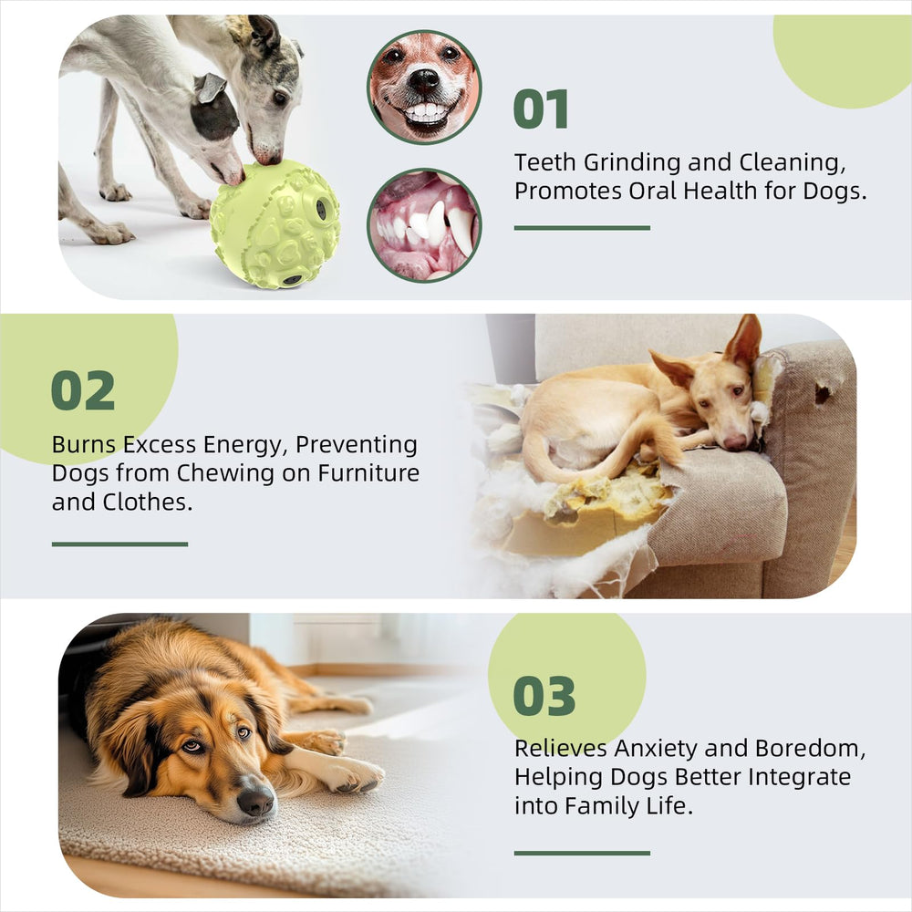 KADTC safe materials ensure worry-free fun for dogs during long-term use