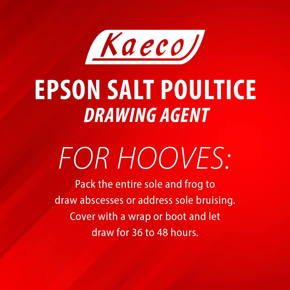 Kaeco packaging highlights 20 oz size and product details for shoppers.