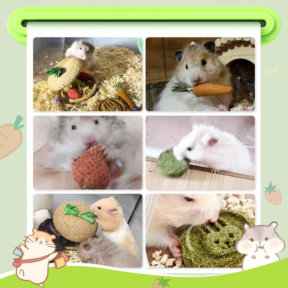 Kagoty Apple Core Inside image shows hollow center for dual-use snack and chew engagement.