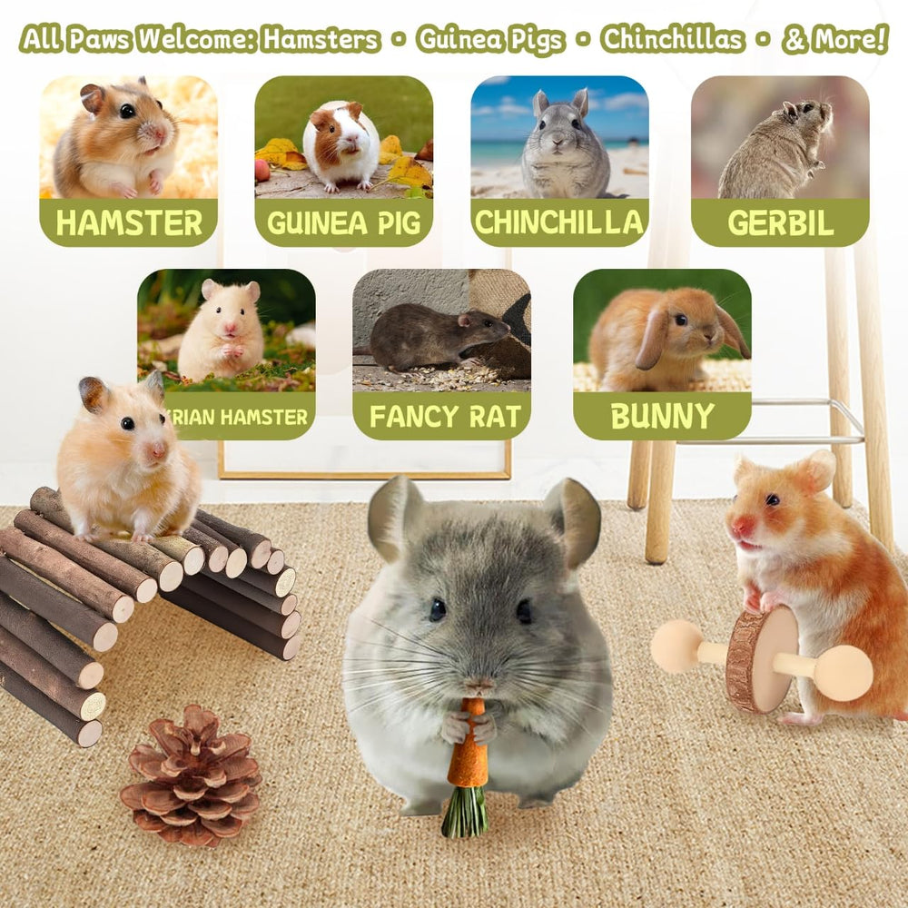 Kagoty apple wood pine cone highlights natural texture for gnawing and dental support.