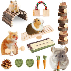 Kagoty hamster chew toys hanging apple wood block stimulates exploration and natural chewing.