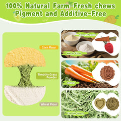 Kagoty Rabbit Carrot Cake carrot-shaped toy provides tasty enrichment for nibbling.