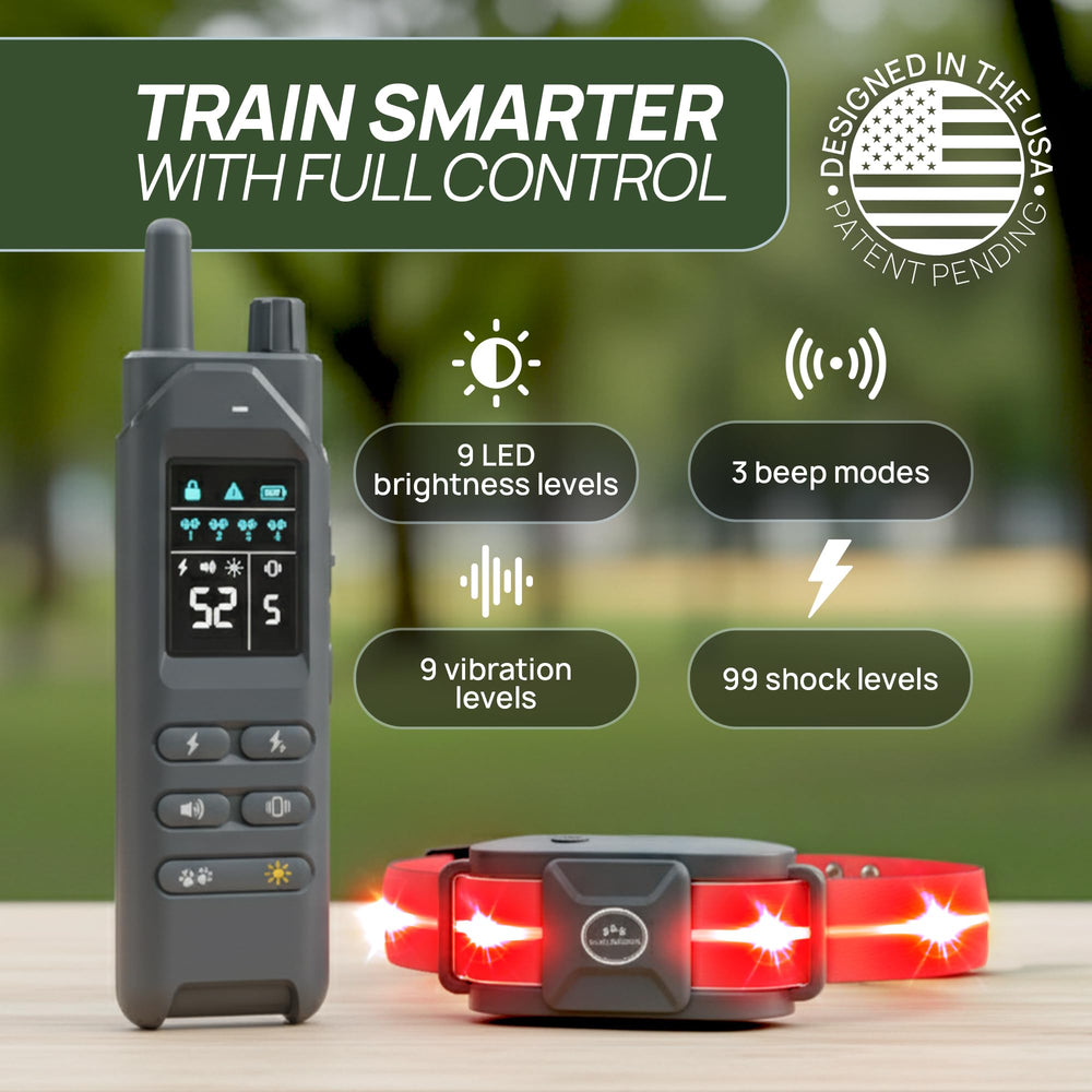 Kailo's Creations 2-in-1 LED safety lights for high-visibility sessions