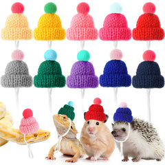 Kajaia pet hat blue color offers warm, adorable styling for small pets.
