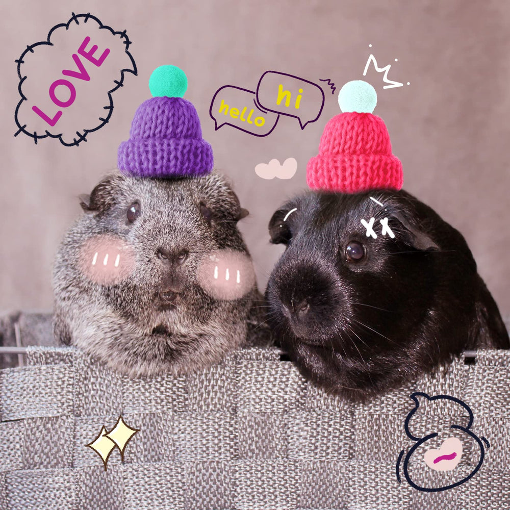 Kajaia pet hat cream-yellow color adds bright contrast in photos.