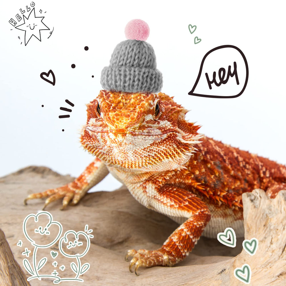 Kajaia pet hat red color stands out during events and paparazzi moments.