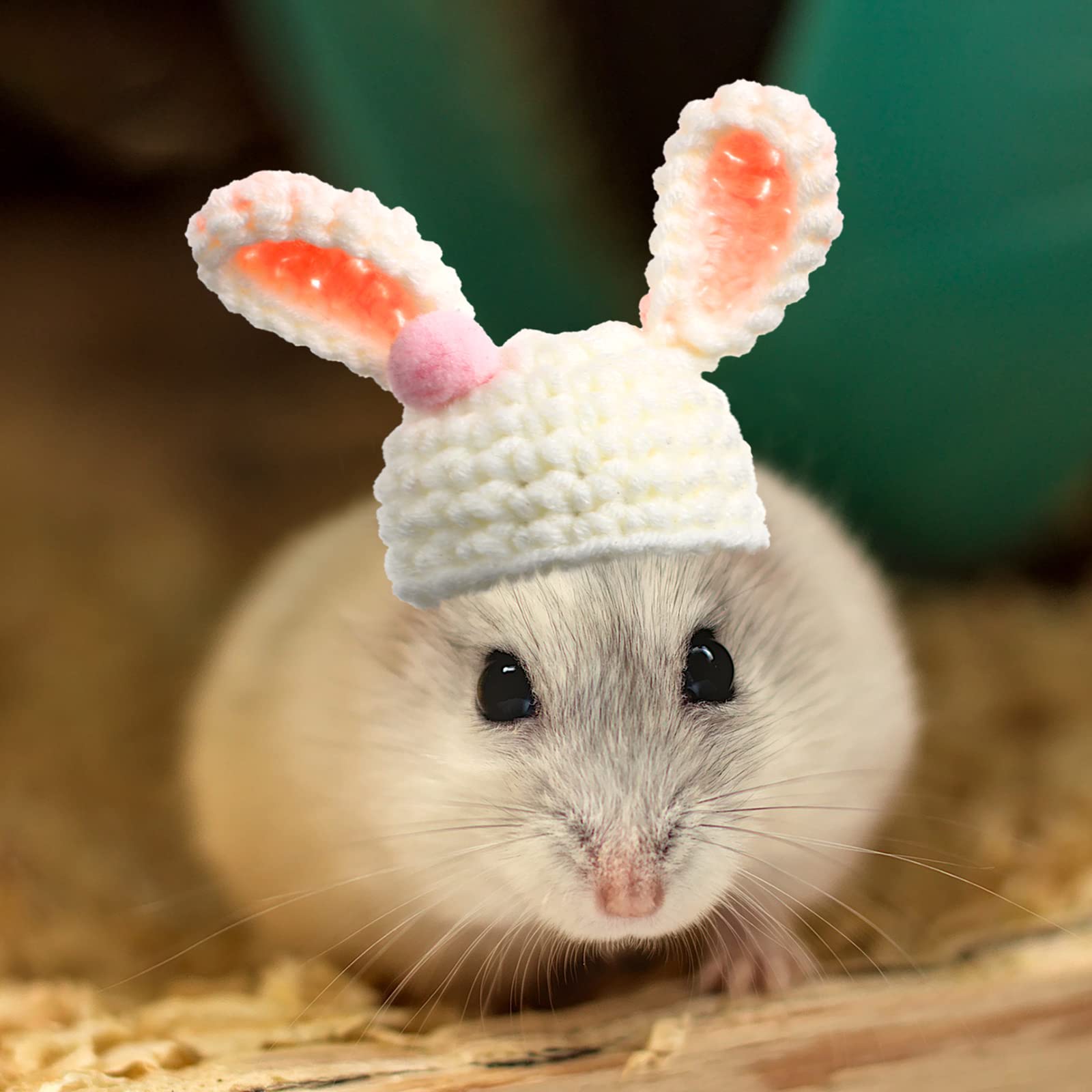 Kajaia hamster hat mushroom style creates cute holiday costume options