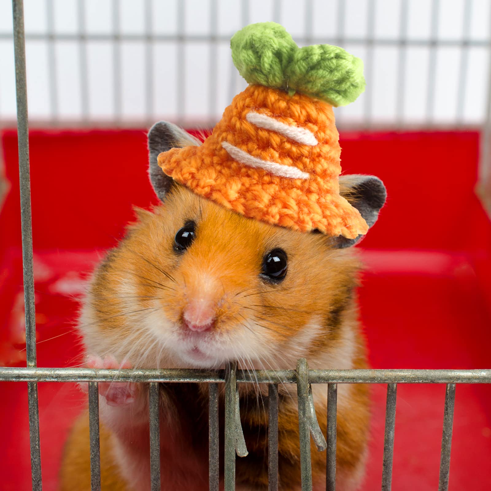 Kajaia hamster hat rabbit style provides charming outfits and selfies