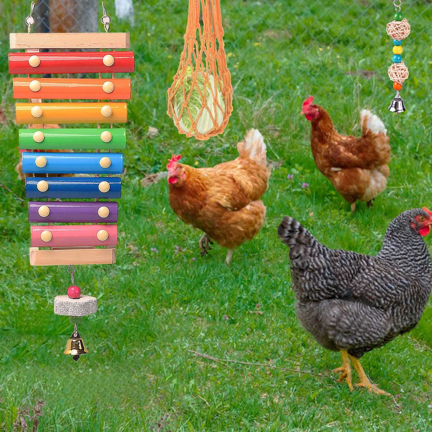 KAKUNM fruit skewers feeder offers foraging-style feeding fun.
