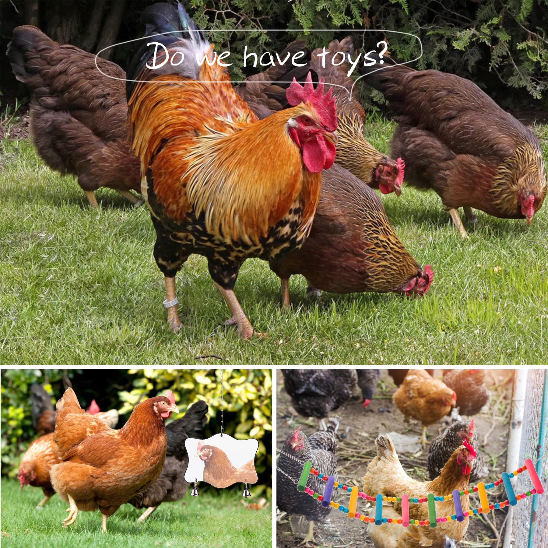 KAKUNM veggie skewers bag provides pecking and enrichment opportunities.