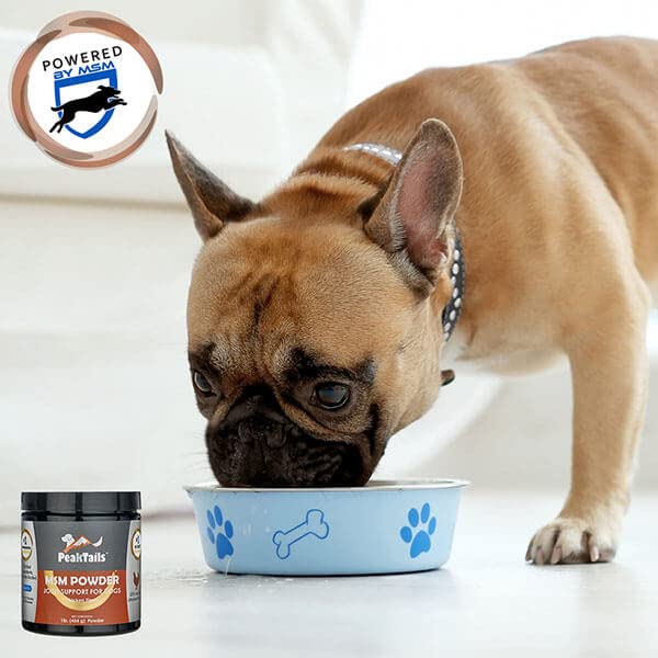 KALA HEALTH PeakTails dog coat shine after MSM supplementation.
