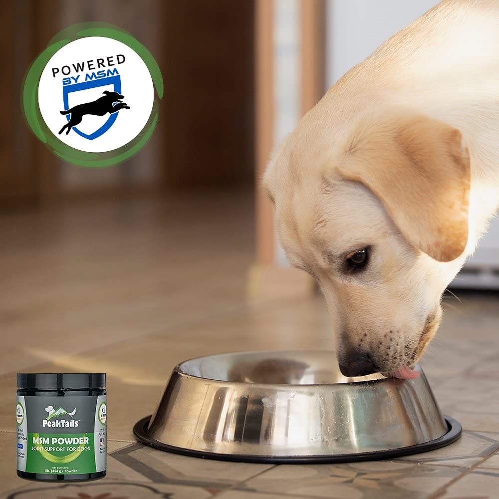 KALA HEALTH PeakTails MSM powder with natural chicken flavor label, appealing to picky eaters.