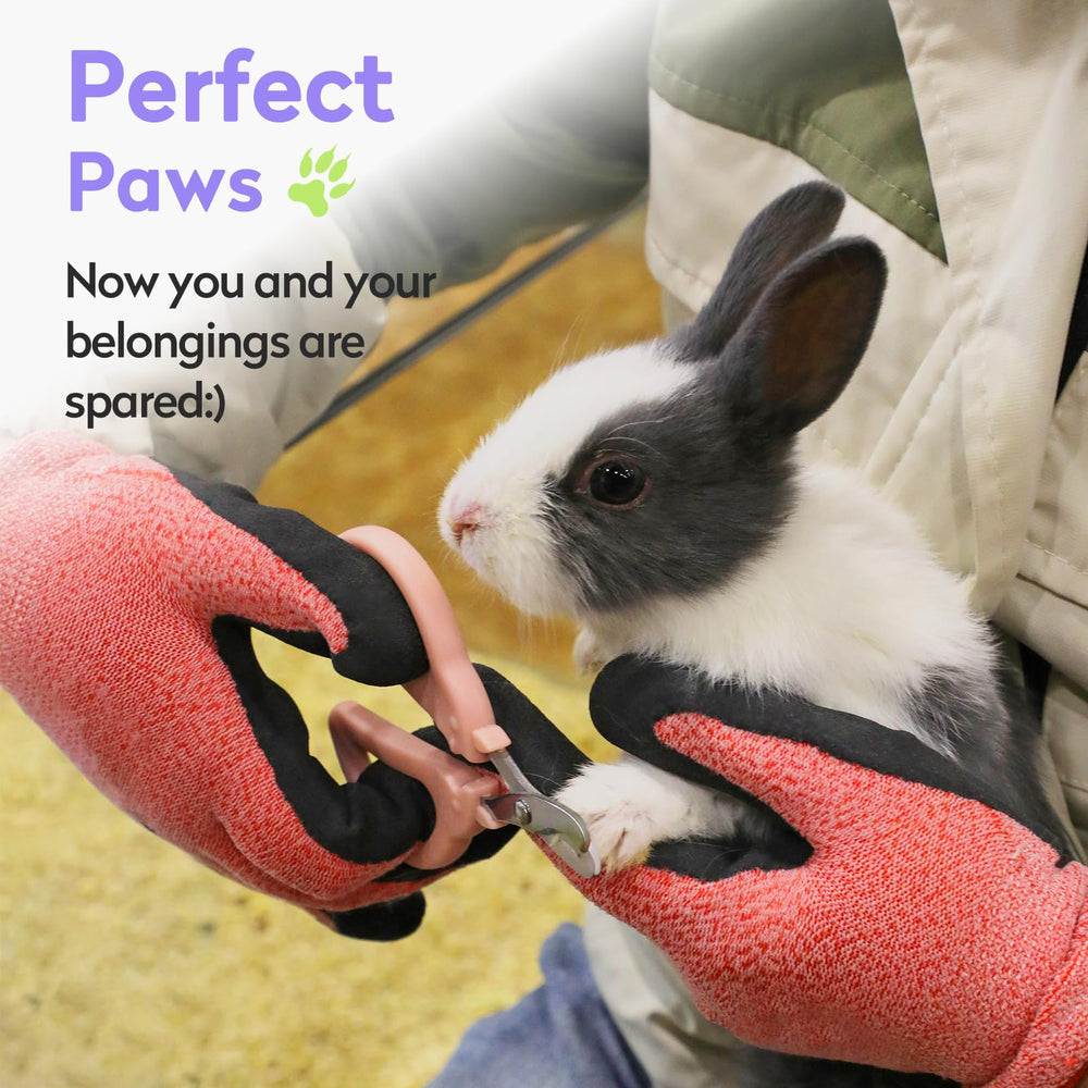 KALAMANDA cat nail clippers versatile for rabbits, guinea pigs, birds and more.