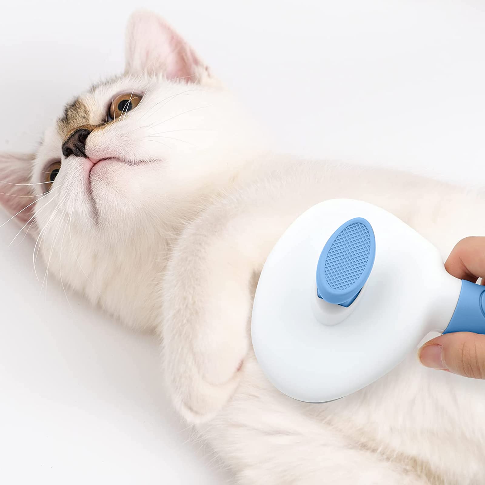 KALAMANDA blue pet grooming session showing calm brushing.