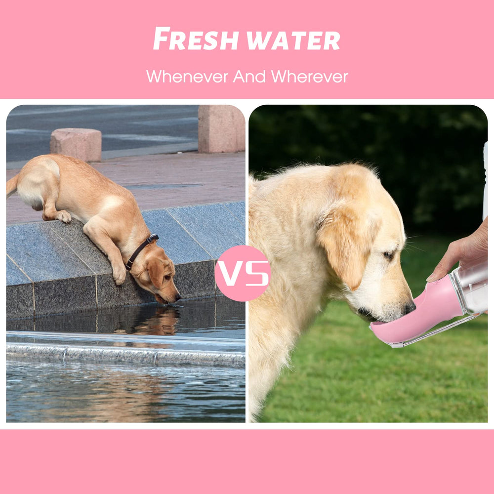 Kalimdor dog water bottle 19oz capacity for extended outdoor outings