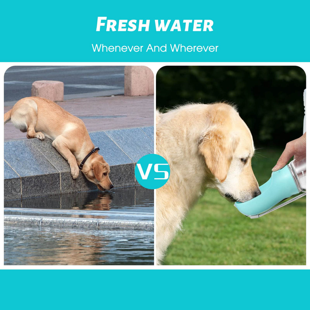 Kalimdor blue 19oz water bottle ideal for outdoor adventures.
