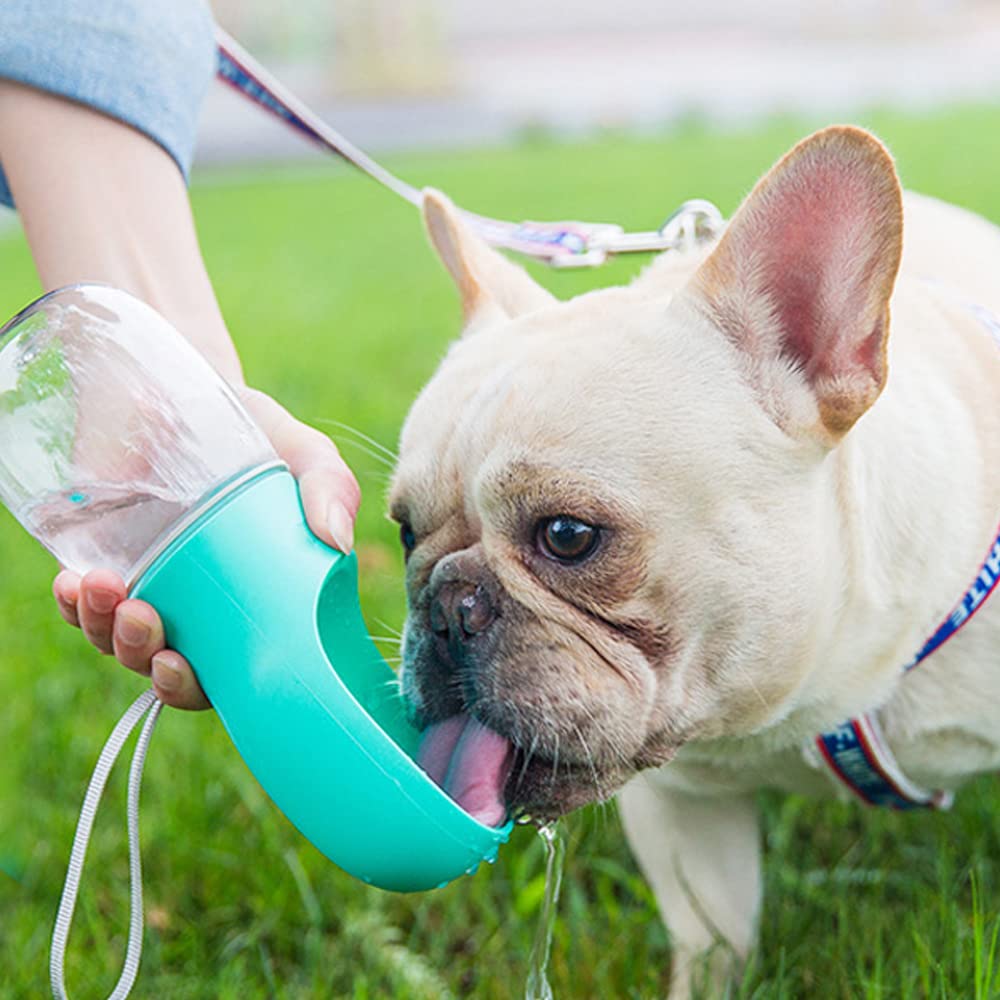 Kalimdor dog water bottle pink safe-durable-materials ensure safe, durable hydration