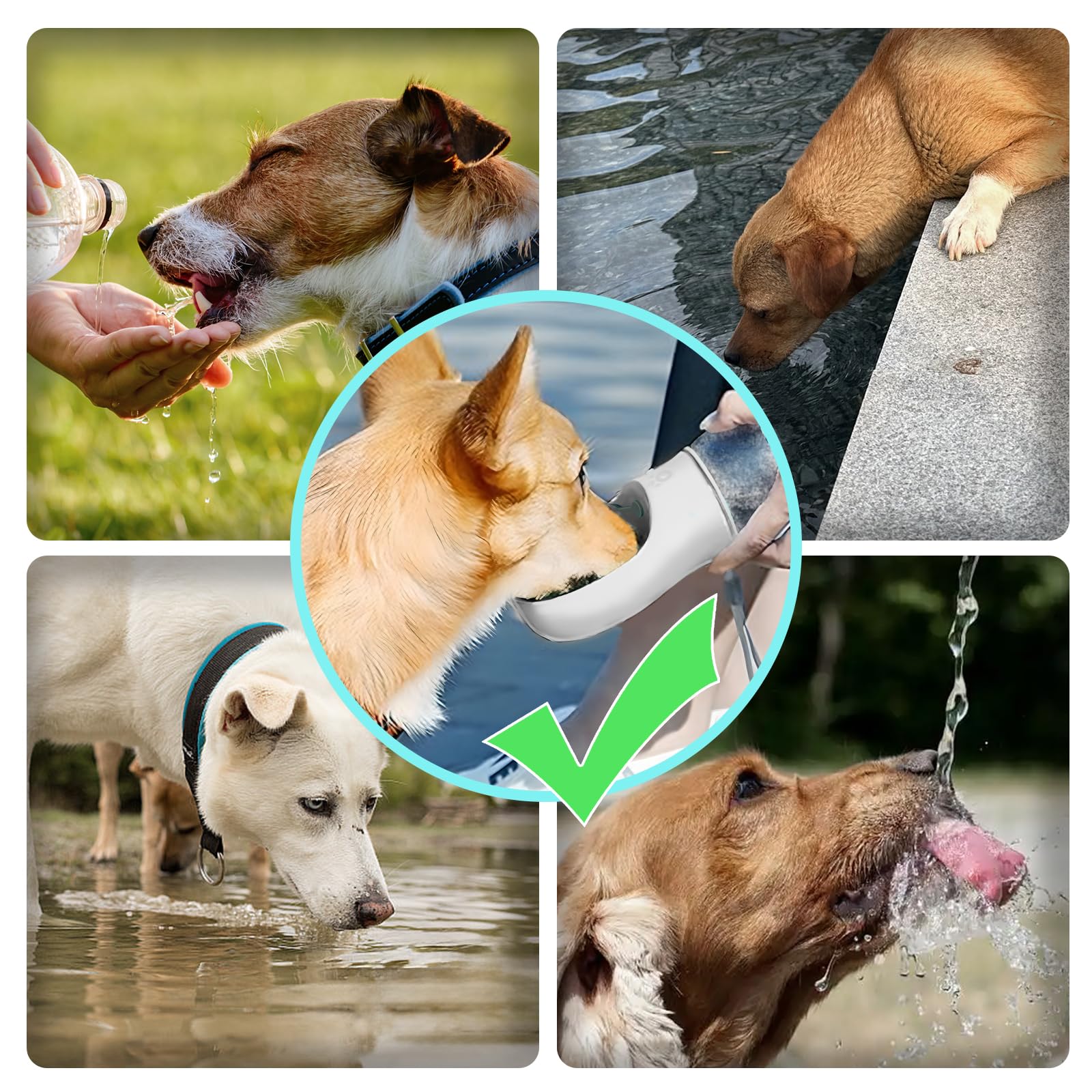 Kalimdor Dog Water Bottle ideal for travel and hiking use
