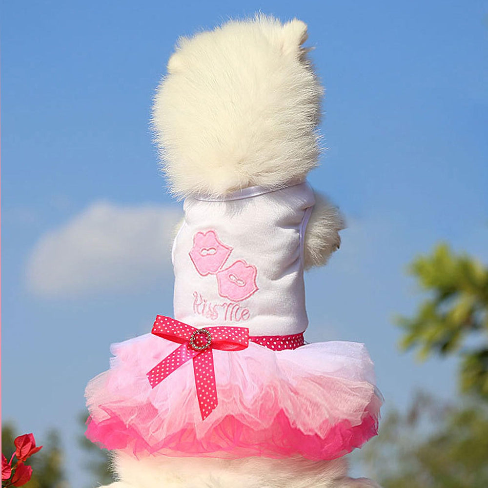 Kallfirs-cutie xx-small black dress on a small dog for everyday wear