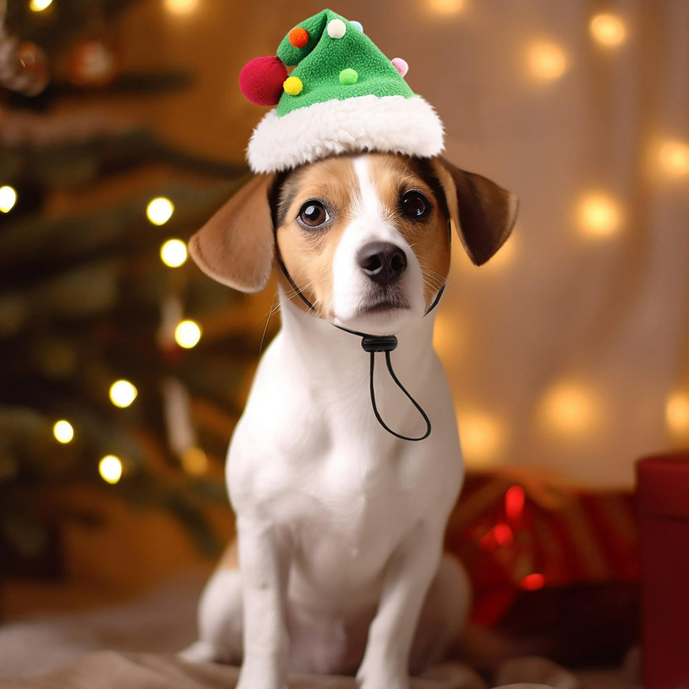 KAMA BRIDAL dog Santa hat cat-friendly option for festive photos