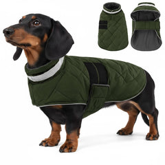 KAMA BRIDAL dog winter coat green front view highlights warm, water-resistant protection.