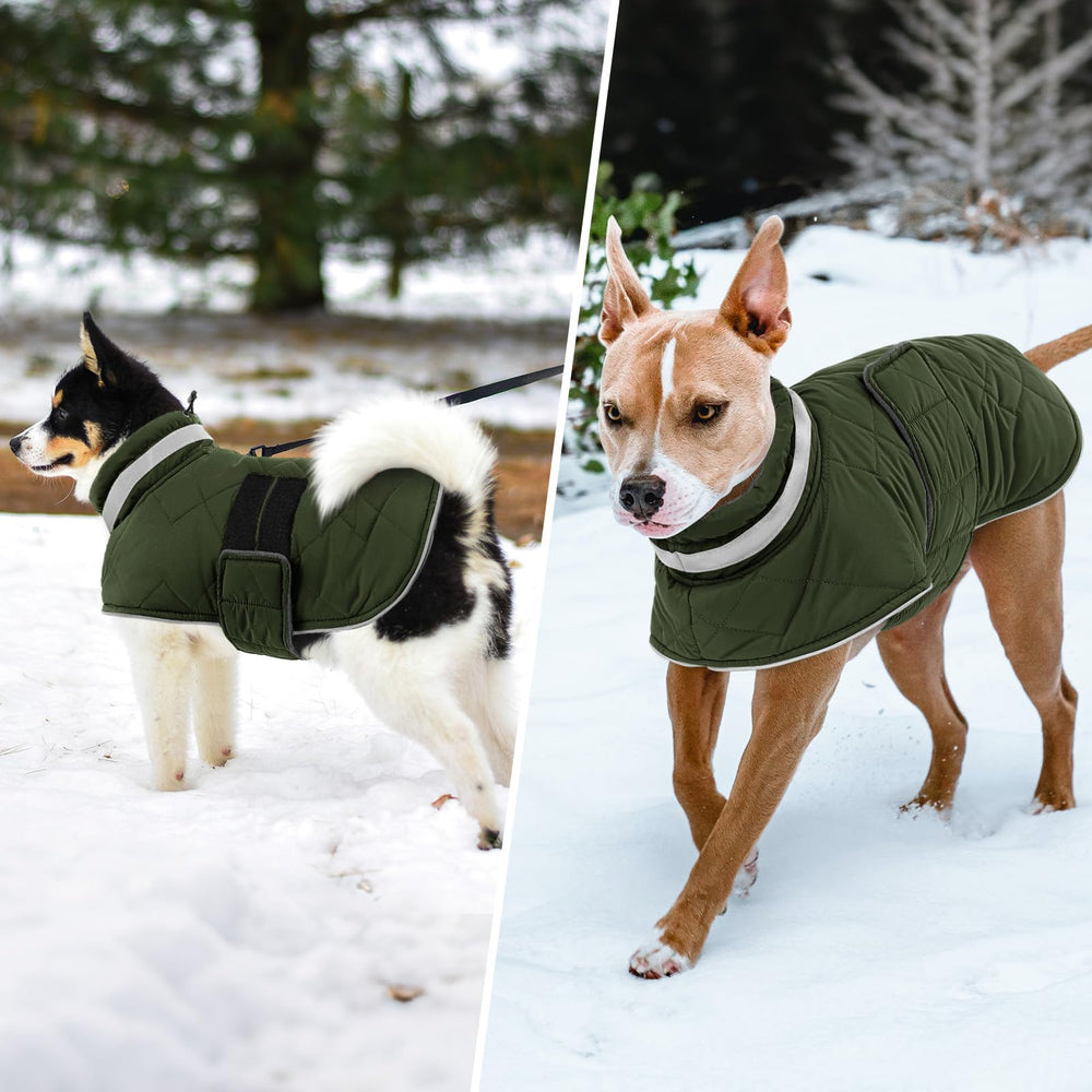KAMA BRIDAL dog winter coat green leash hole enables easy walks.