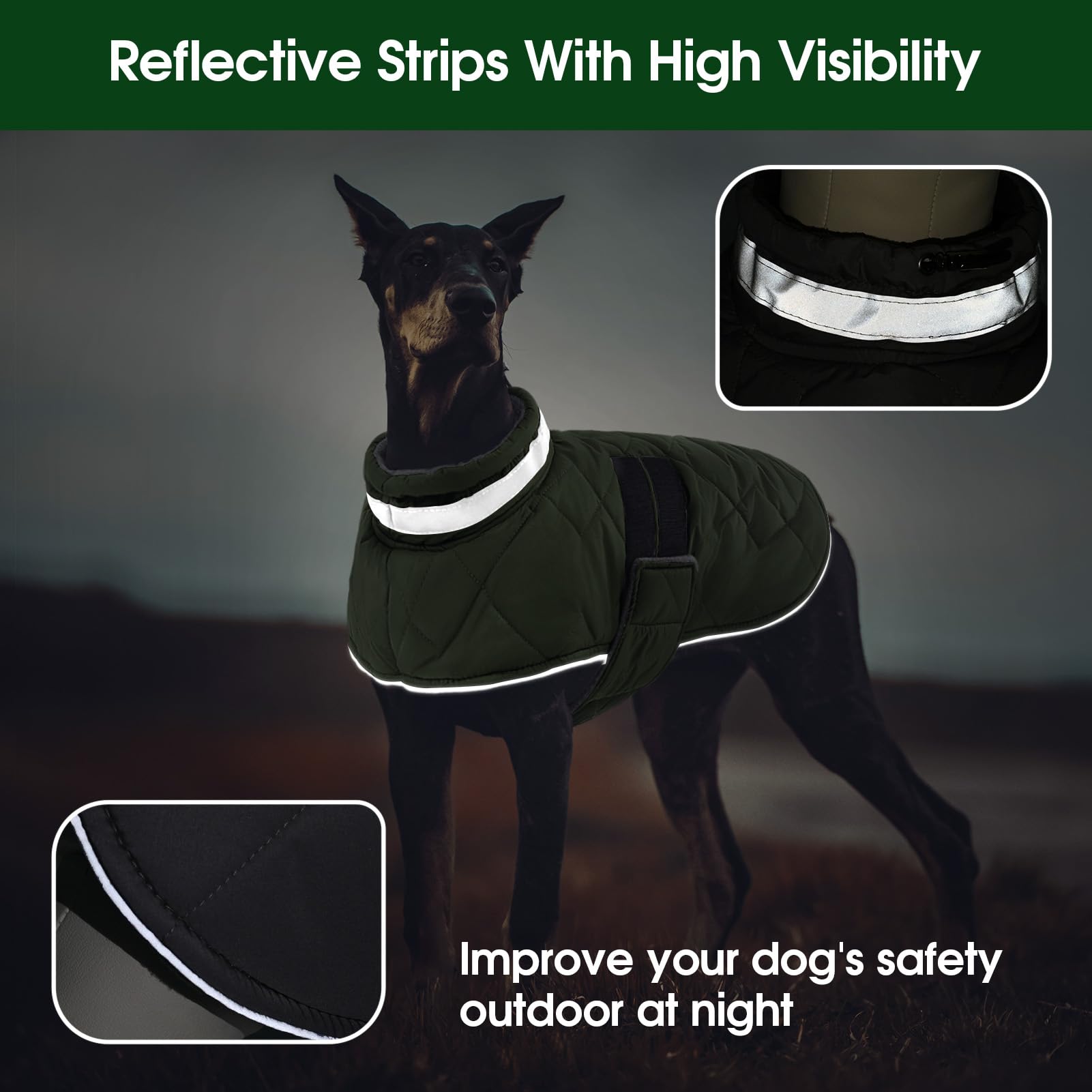 KAMA BRIDAL dog winter coat green middle cotton layer adds warmth.