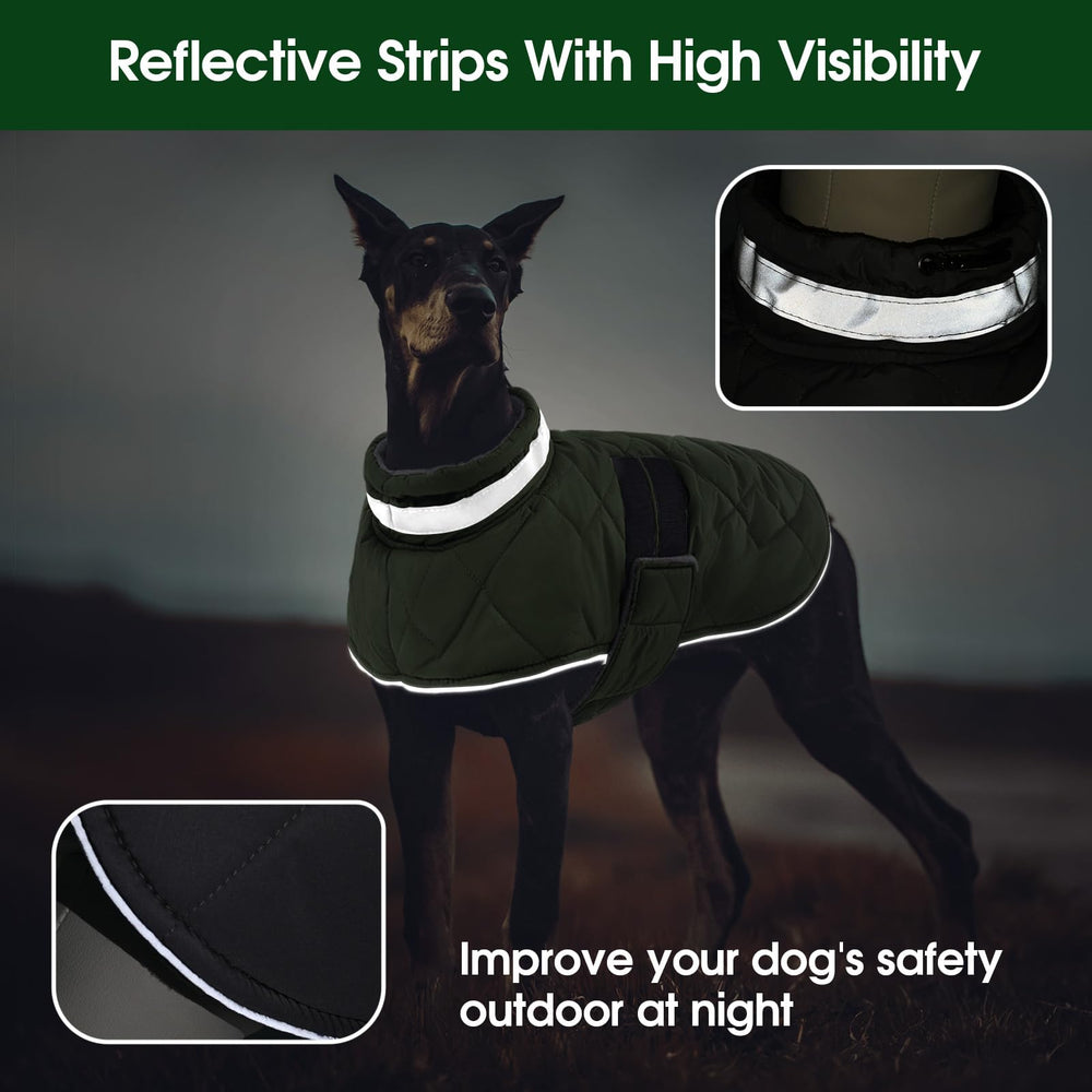 KAMA BRIDAL dog winter coat green middle cotton layer adds warmth.