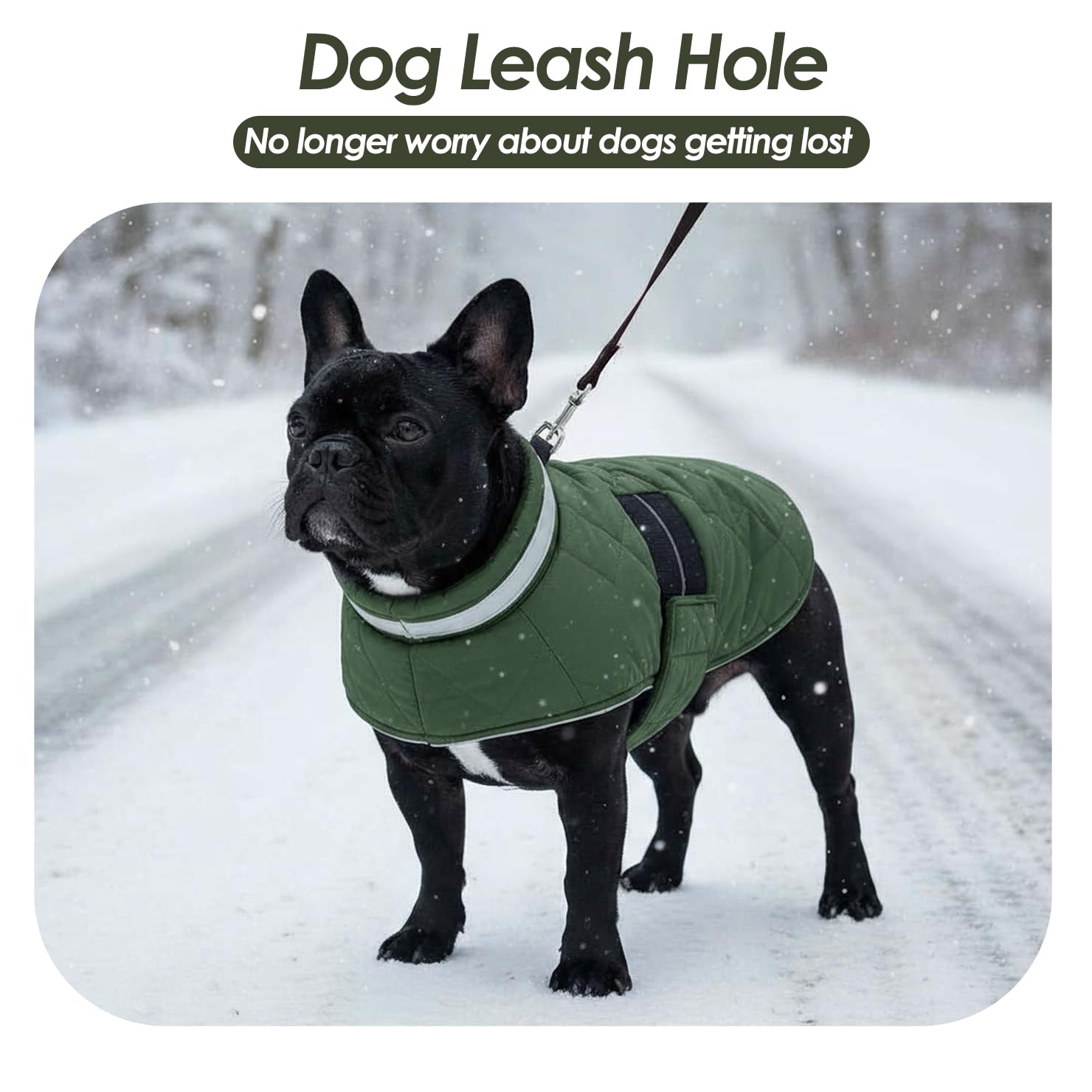 KAMA BRIDAL dog winter coat green packaged ready for gifting.