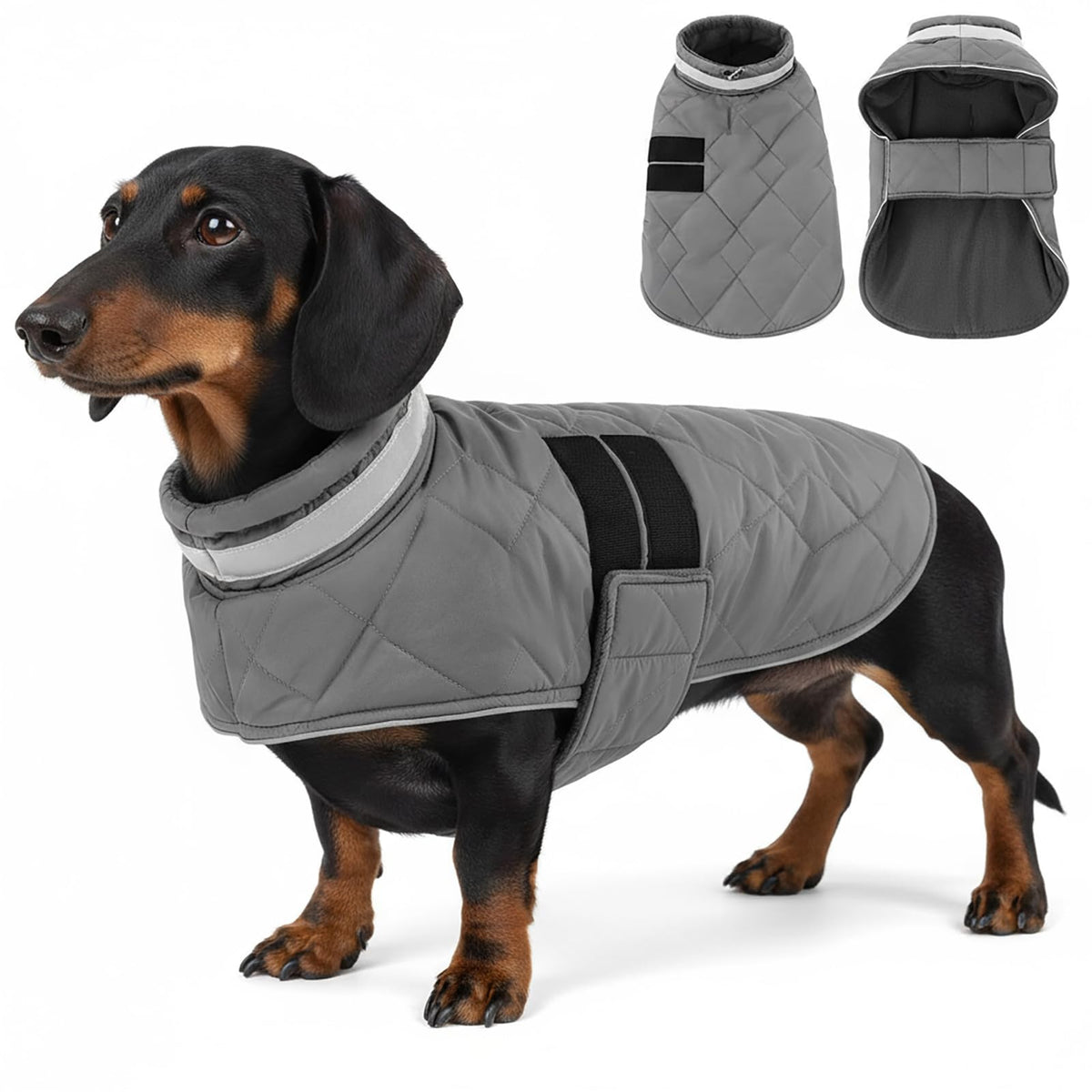 KAMA BRIDAL dog winter coat front view shows warm padding for cold walks.