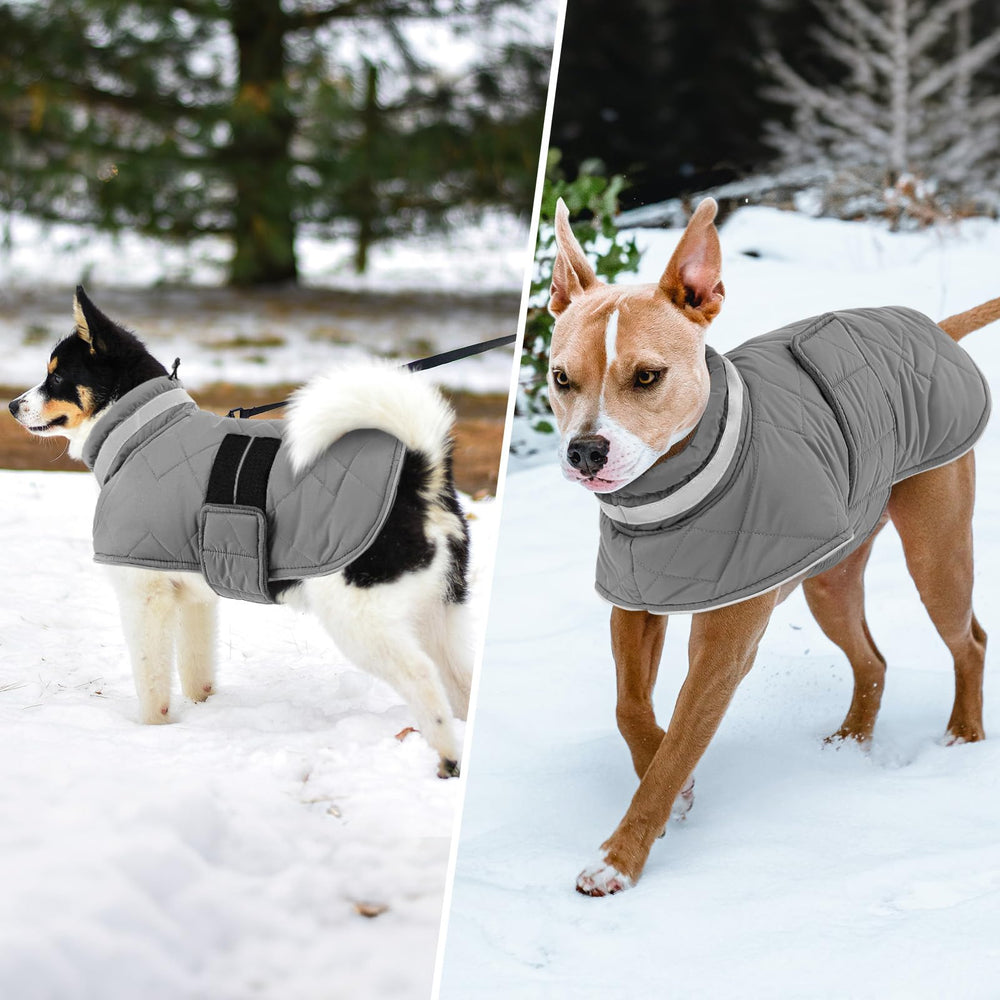 KAMA BRIDAL dog winter coat inner-fleece lining adds cozy warmth.