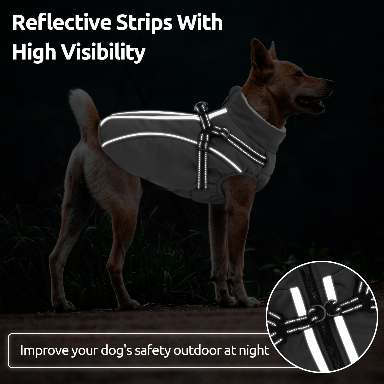 KAMA BRIDAL dog winter coat showing built-in D-ring leash attachment